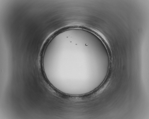 X0000111880783200907231426