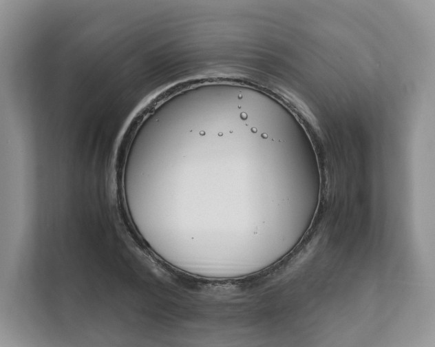 X0000111880784200907231426