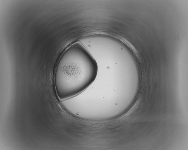 X0000111880785200907231426