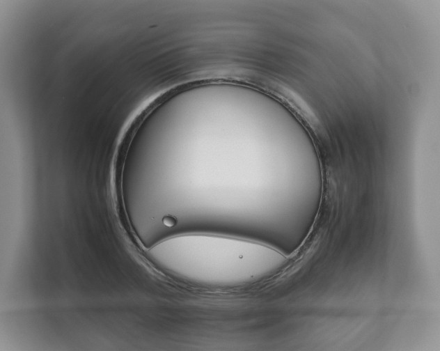 X0000111880788200907231426