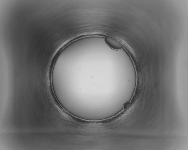 X0000111880789200907231426