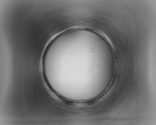X0000111880795200907231426