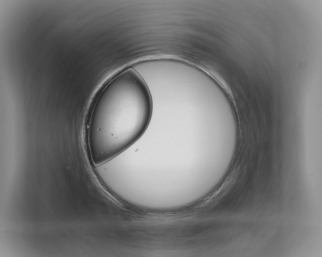 X0000111880797200907231426