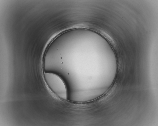 X0000111880800200907231426