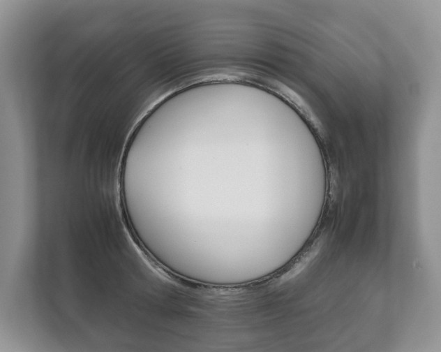 X0000111880802200907231426