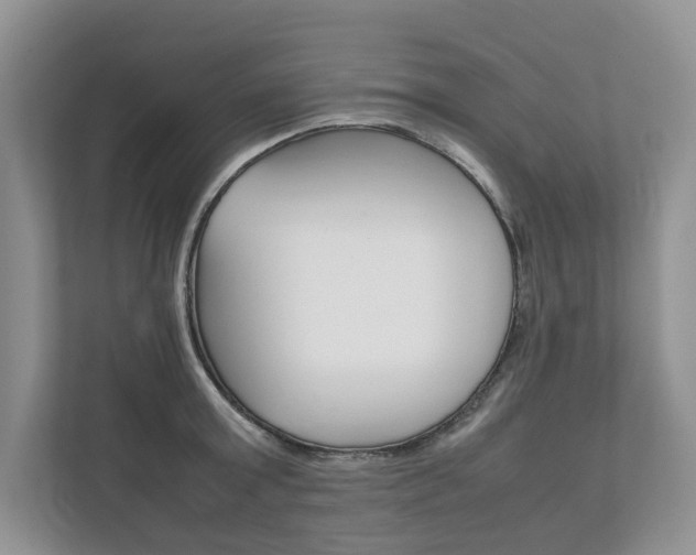 X0000111880803200907231426