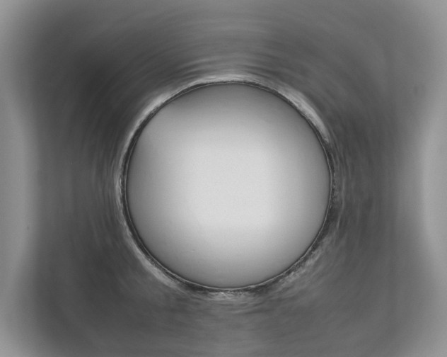 X0000111880805200907231426