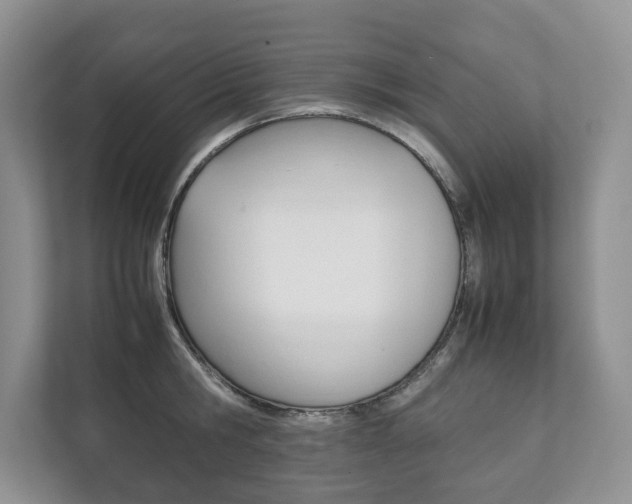 X0000111880806200907231426