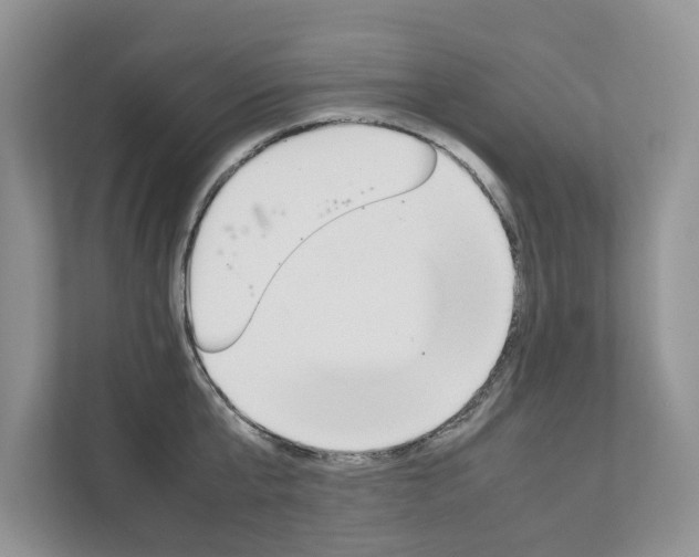 X0000111880807200907231426