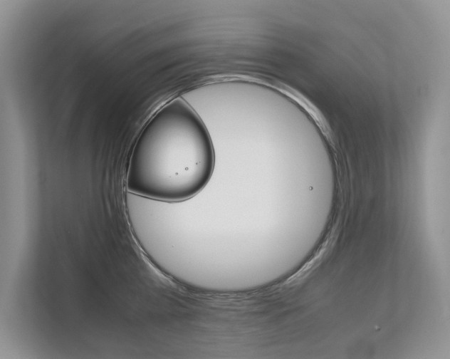 X0000111880809200907231426