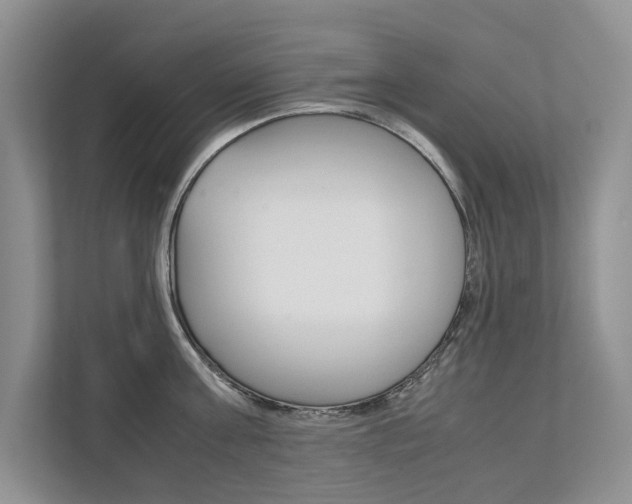 X0000111880811200907231426