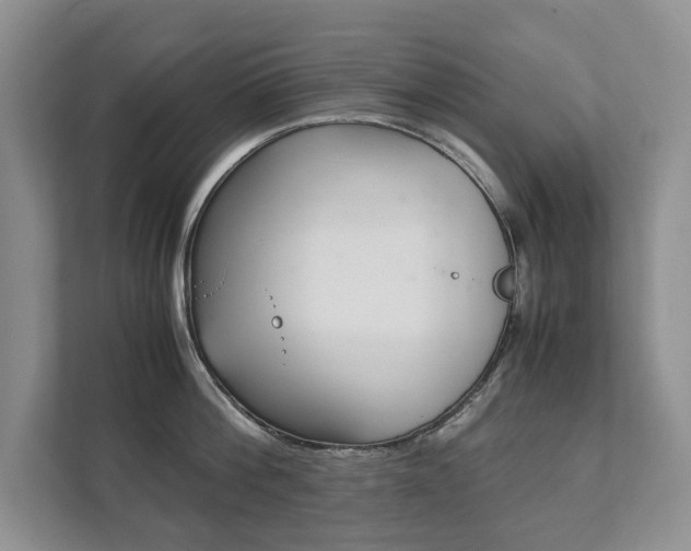 X0000111880812200907231426