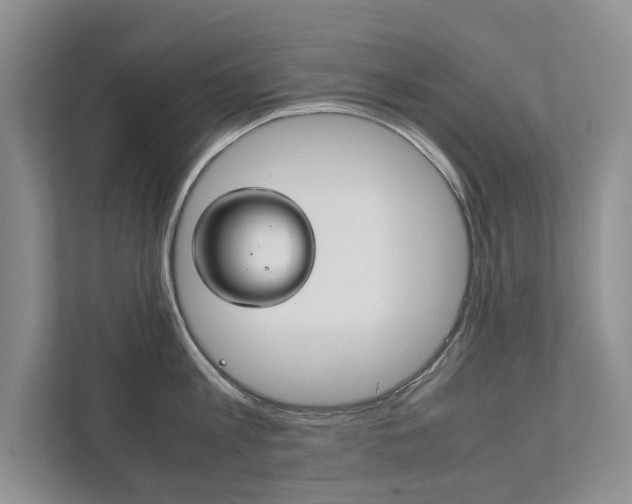 X0000111880813200907231426
