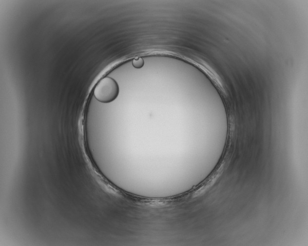 X0000111880814200907231425