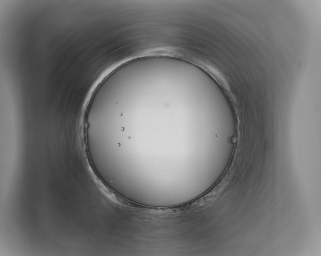 X0000111880816200907231425