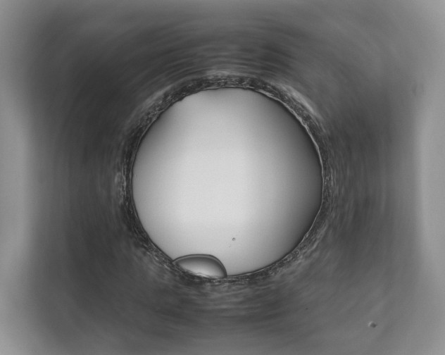 X0000111880821200907231425