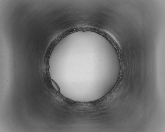 X0000111880823200907231425