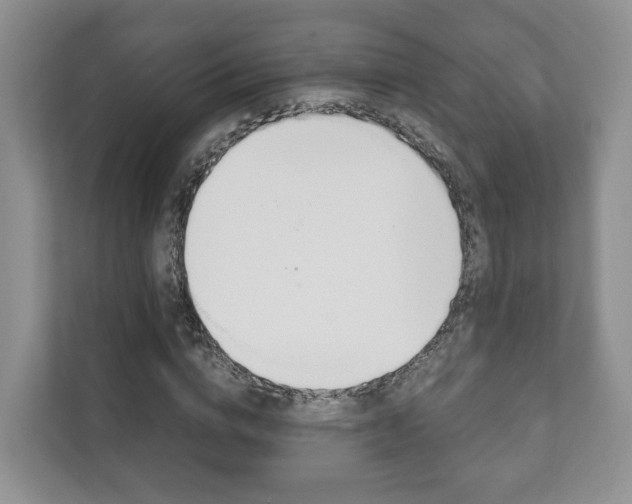 X0000111880824200907231425