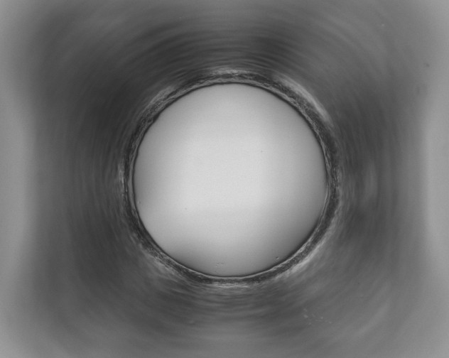 X0000111880825200907231425