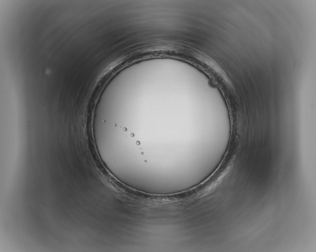 X0000111880826200907231425