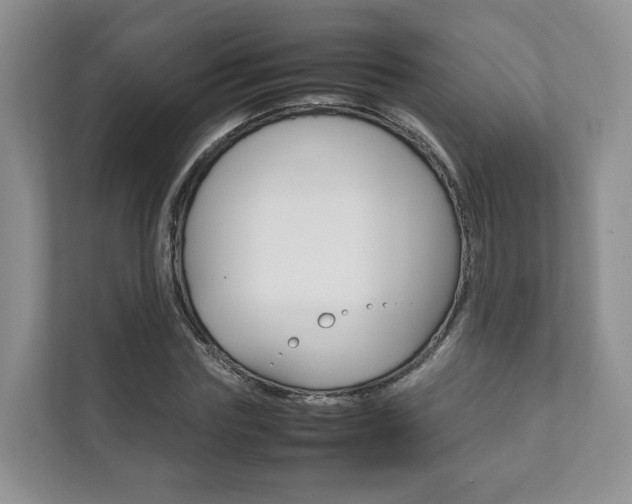 X0000111880827200907231425