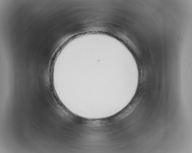 X0000111880828200907231425