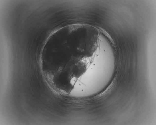 X0000111880831200907231425