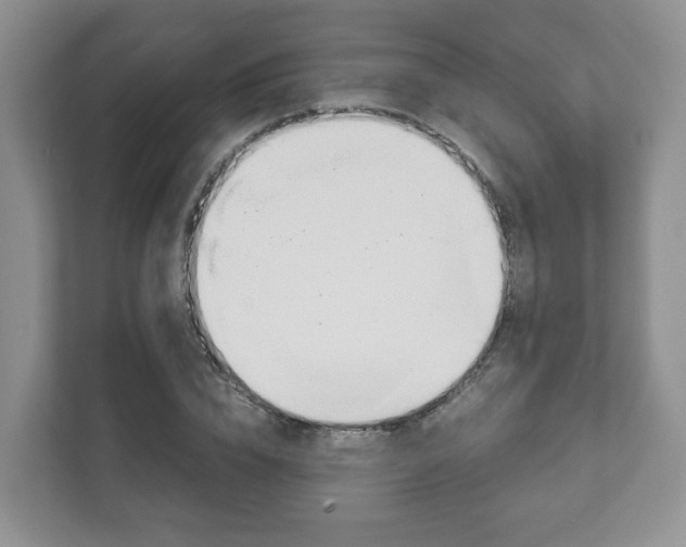 X0000111880832200907231425