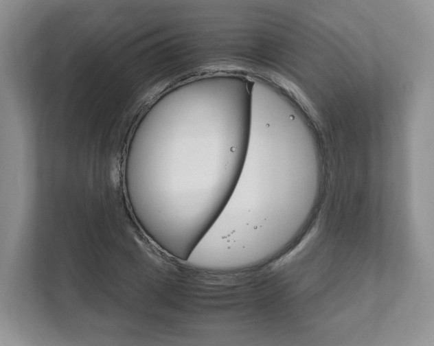 X0000111880833200907231425