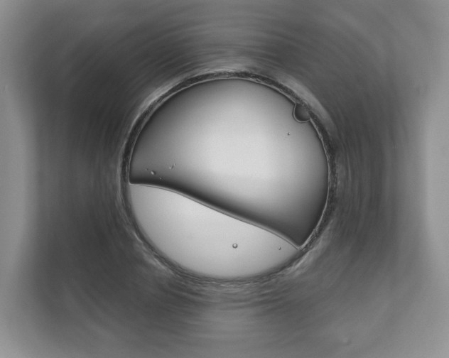 X0000111880834200907231425