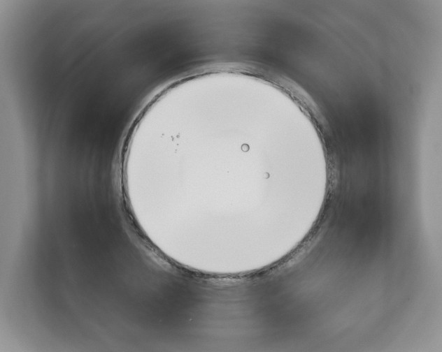 X0000111880836200907231425
