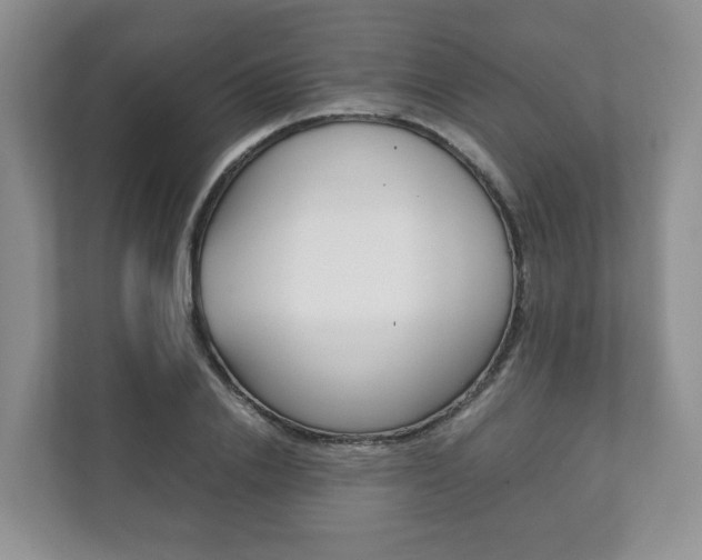 X0000111880838200907231425