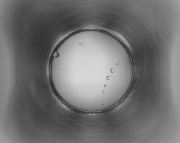 X0000111880839200907231425