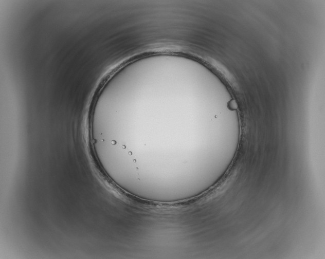 X0000111880840200907231425