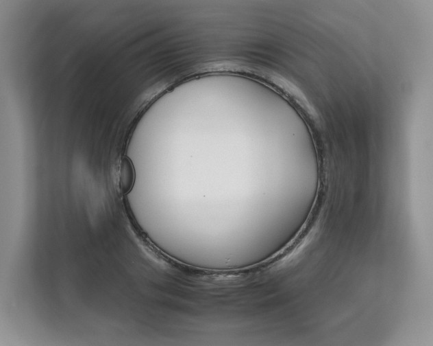 X0000111880841200907231425