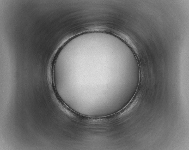 X0000111880843200907231425
