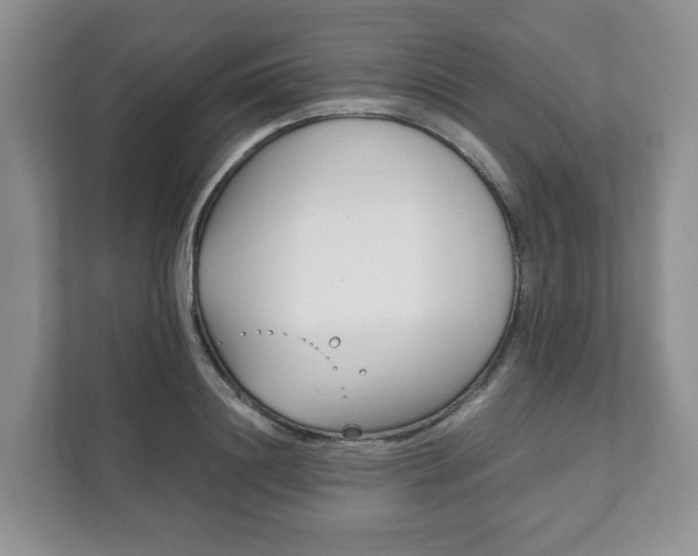 X0000111880844200907231425