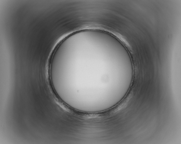X0000111880846200907231425