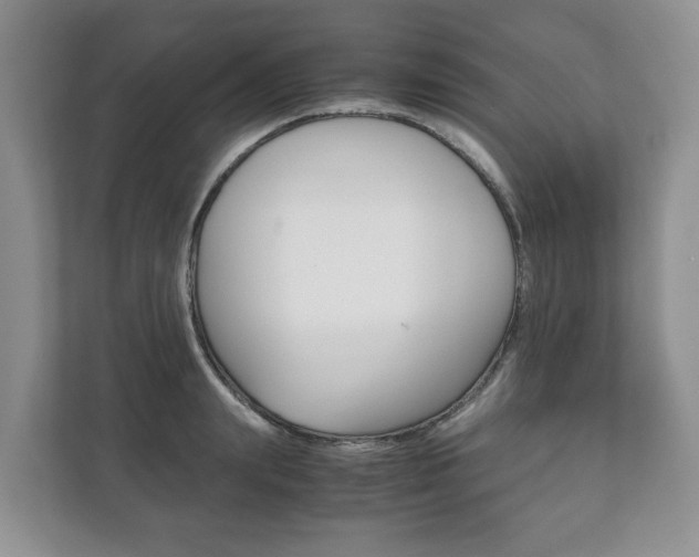 X0000111880847200907231425