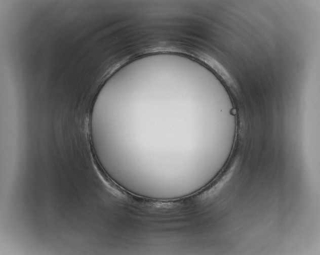 X0000111880849200907231425