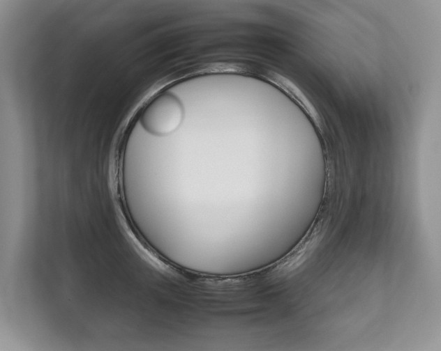 X0000111880851200907231425