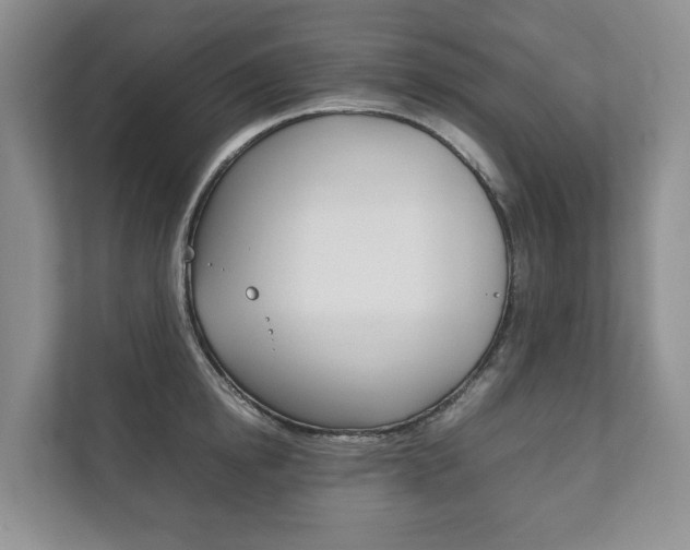 X0000111880854200907231425