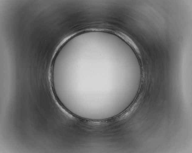 X0000111880855200907231425