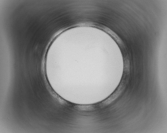 X0000111880856200907231425
