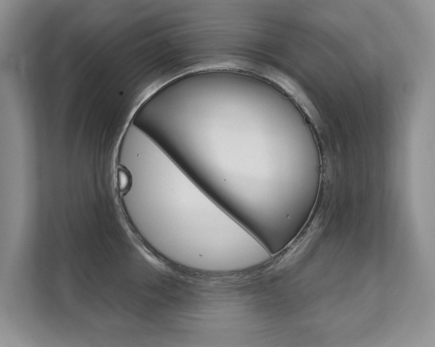 X0000111880858200907231425