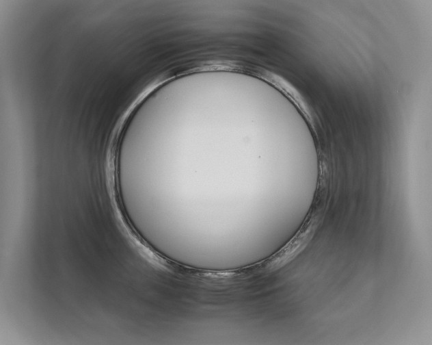 X0000111880859200907231425