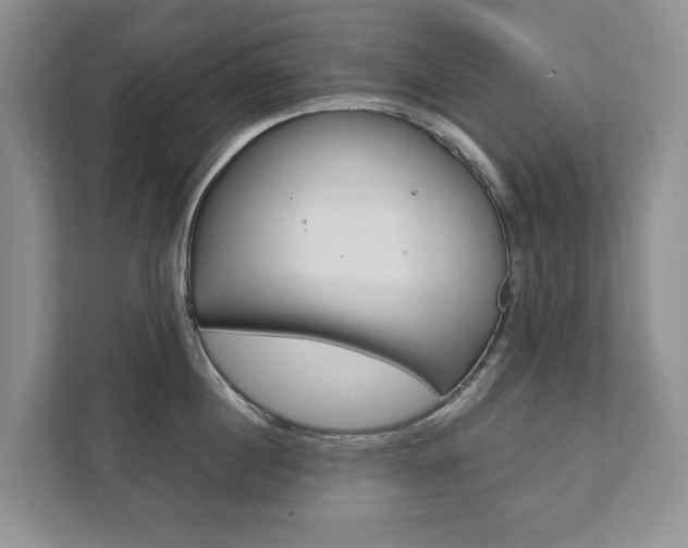 X0000111880860200907231425