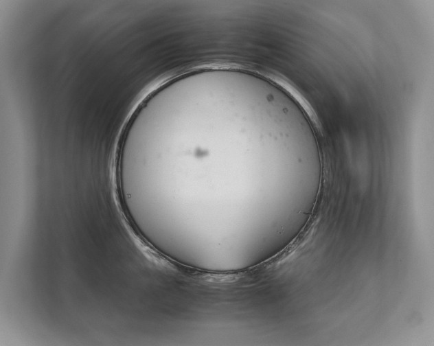 X0000111880861200907231425