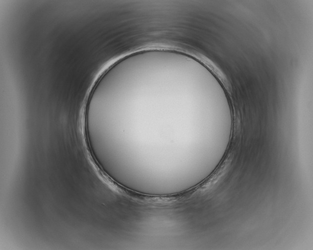 X0000111880862200907231425