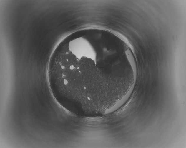 X0000111880863200907231425